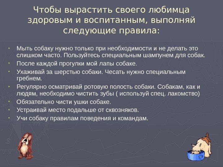   Чтобы вырастить своего любимца здоровым и воспитанным, выполняй следующие правила : 