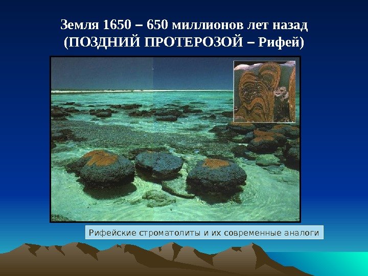Земля 1650 – 650 миллионов лет назад (ПОЗДНИЙ ПРОТЕРОЗОЙ – Рифей) Рифейские строматолиты и
