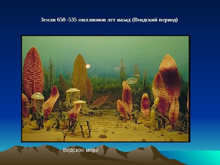 Земля 650 -535 миллионов лет назад (Вендский период) Ведское море 