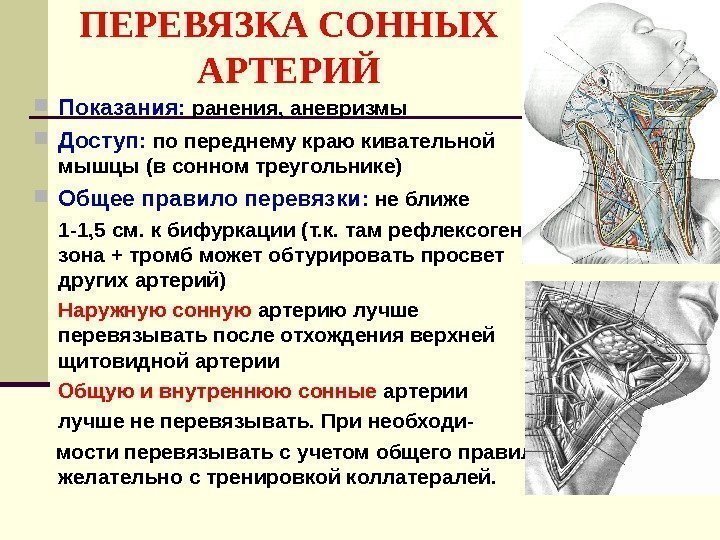 Топографическая анатомия и хирургия