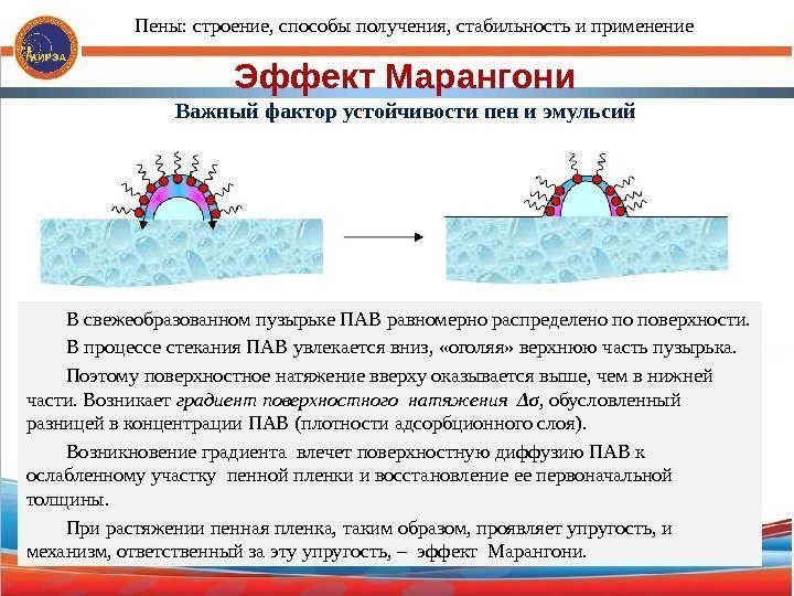 Эффект Марангони Важный фактор устойчивости пен и эмульсий В свежеобразованном пузырьке ПАВ равномерно распределено