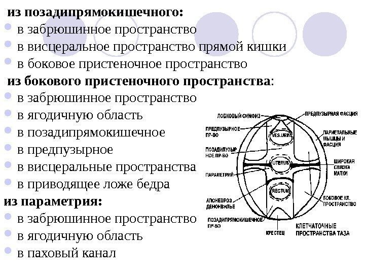 Забрюшинное пространство схема