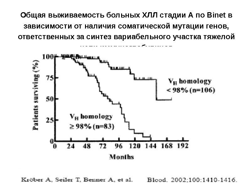 Общая выживаемость больных ХЛЛ стадии А по Binet в зависимости от наличия соматической мутации