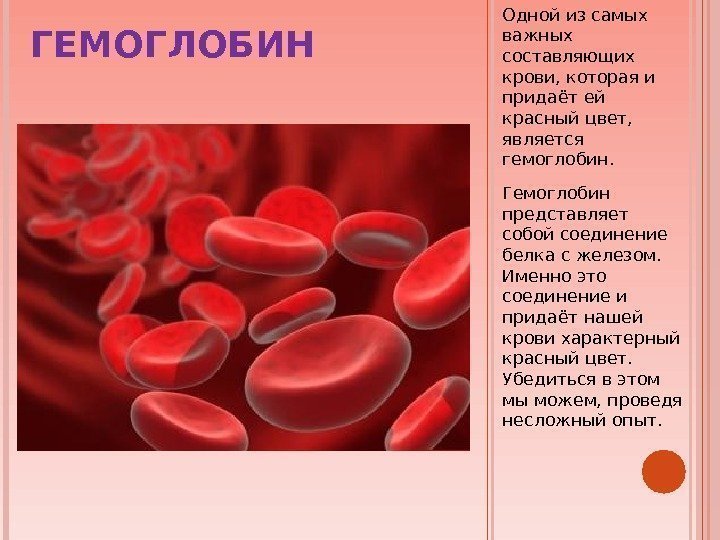 ГЕМОГЛОБИН Одной из самых важных составляющих крови, которая и придаёт ей красный цвет, 