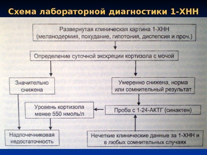 Схема лабораторной диагностики 1 -ХНН 