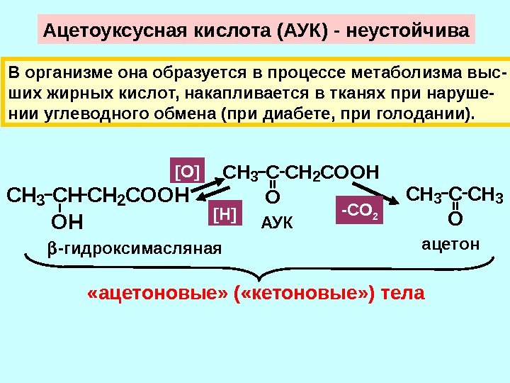 Ацетоуксусная кислота (АУК) - неустойчива В организме она образуется в процессе метаболизма выс- ших