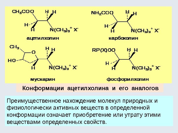  Конформации ацетилхолина и его аналогов Преимущественное нахождение молекул природных и физиологически активных веществ