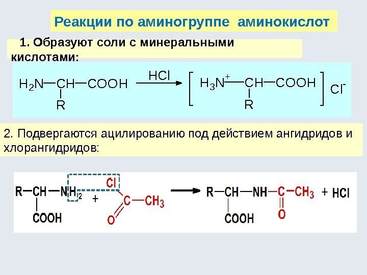 Реакции по аминогруппе аминокислот 1. Образуют соли с минеральными кислотами: H 2 NCH R