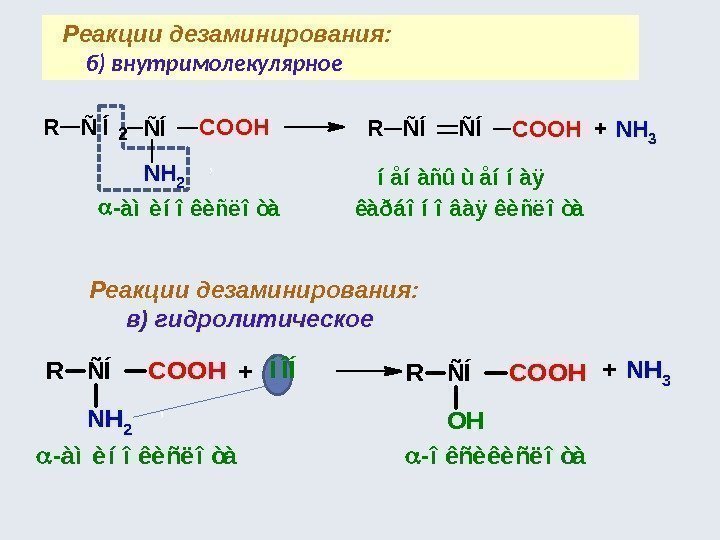   Реакции дезаминирования: б) внутримолекулярное 2 Реакции дезаминирования: в) гидролитическоеÑÍCOOHÑ Í NH 2