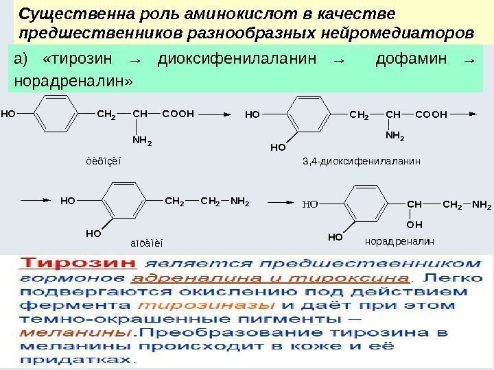 Cущественна роль аминокислот в качестве предшественников разнообразных нейромедиаторов а)  «тирозин → диоксифенилаланин →