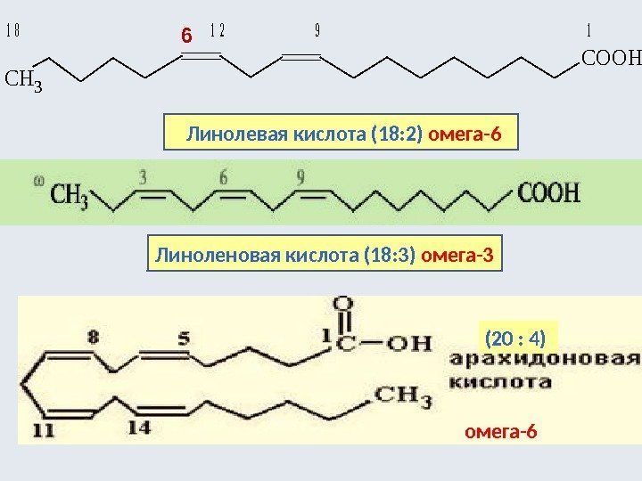   Линолевая кислота (18: 2) омега-6 (20 : 4) Линоленовая кислота (18: 3)