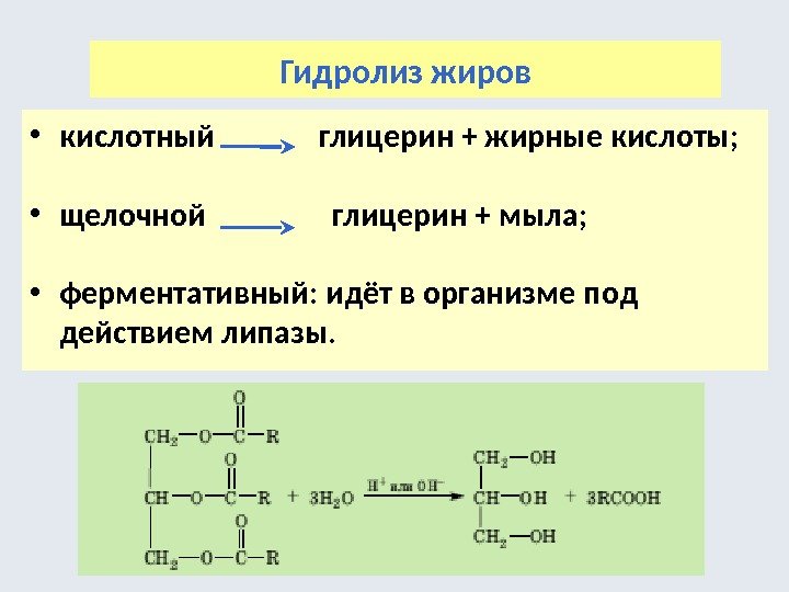 Гидролиз жиров • кислотный   глицерин + жирные кислоты;  • щелочной 