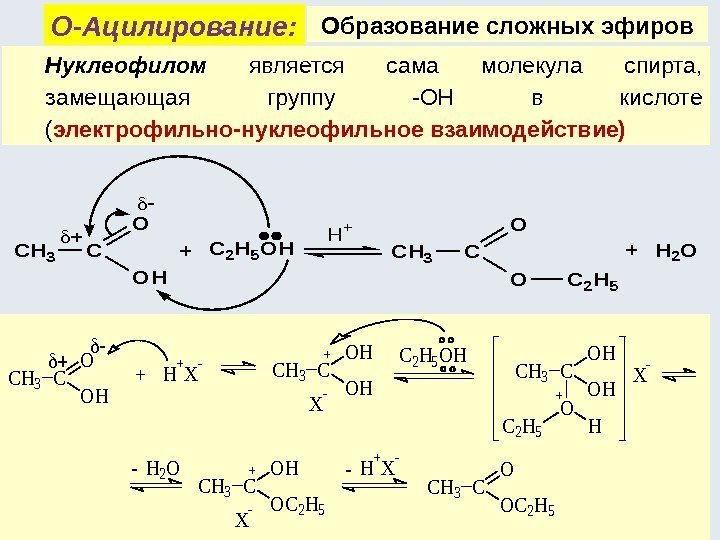  Образование сложных эфиров Нуклеофилом  является сама молекула спирта,  замещающая группу -ОН