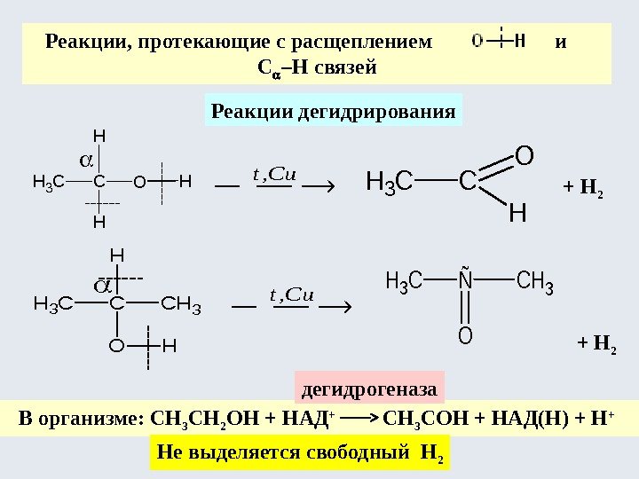 Реакции, протекающие с расщеплением    и C –H связей Реакции дегидрирования +