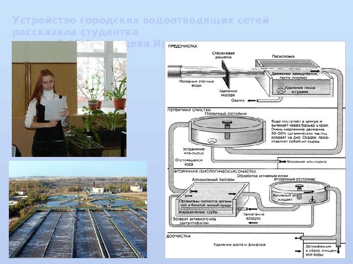 Устройство городских водоотводящих сетей рассказала студентка группы 3 -10 Звягинцева Ирина 