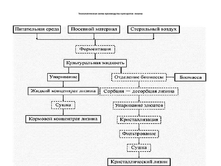 Современная технологическая схема убоя лошадей реферат