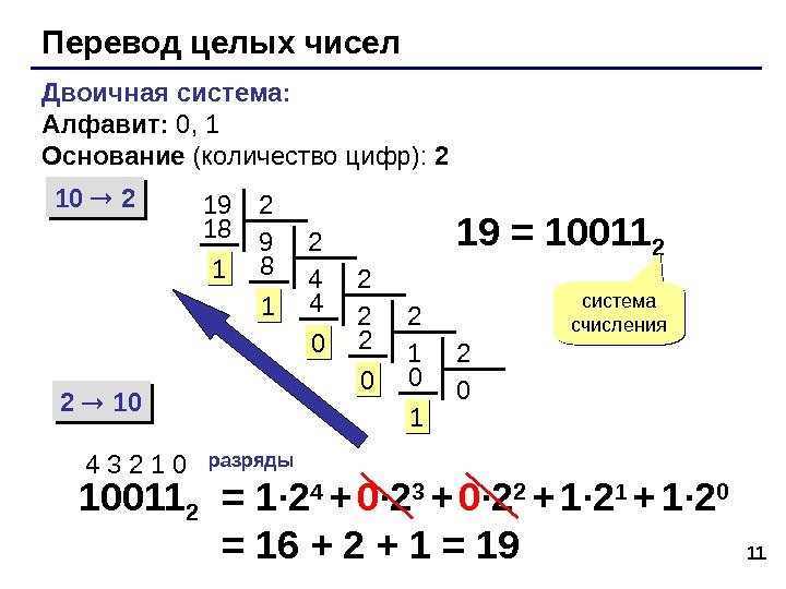 11 Перевод целых чисел Двоичная система:  Алфавит:  0, 1 Основание (количество цифр):