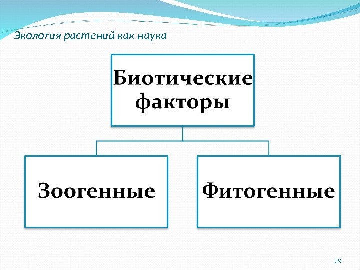 29 Экология растений как наука 