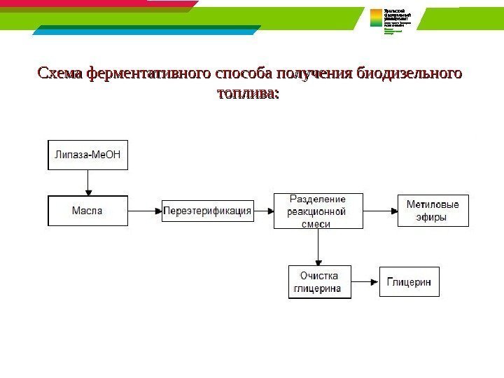 Схема ферментативного способа получения биодизельного топлива:  