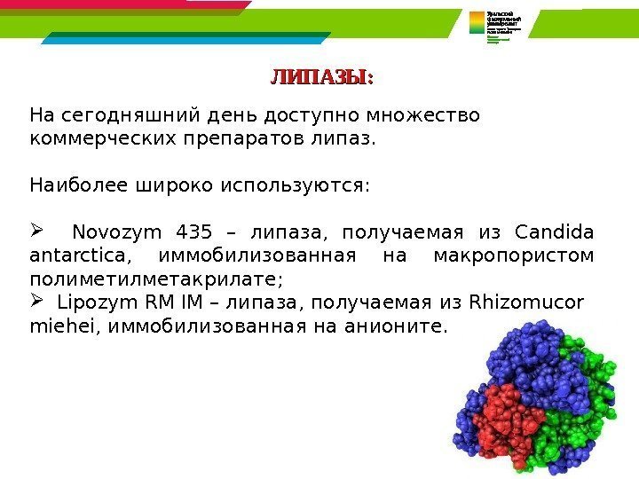 ЛИПАЗЫ: На сегодняшний день доступно множество коммерческих препаратов липаз.  Наиболее широко используются: 