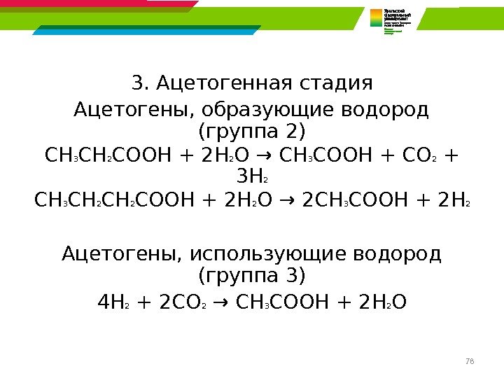 783. Ацетогенная стадия Ацетогены, образующие водород (группа 2) СН 3 СН 2 СООН +