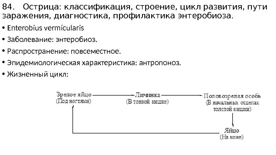 84. Острица: классификация, строение, цикл развития, пути заражения, диагностика, профилактика энтеробиоза.  • Enterobius