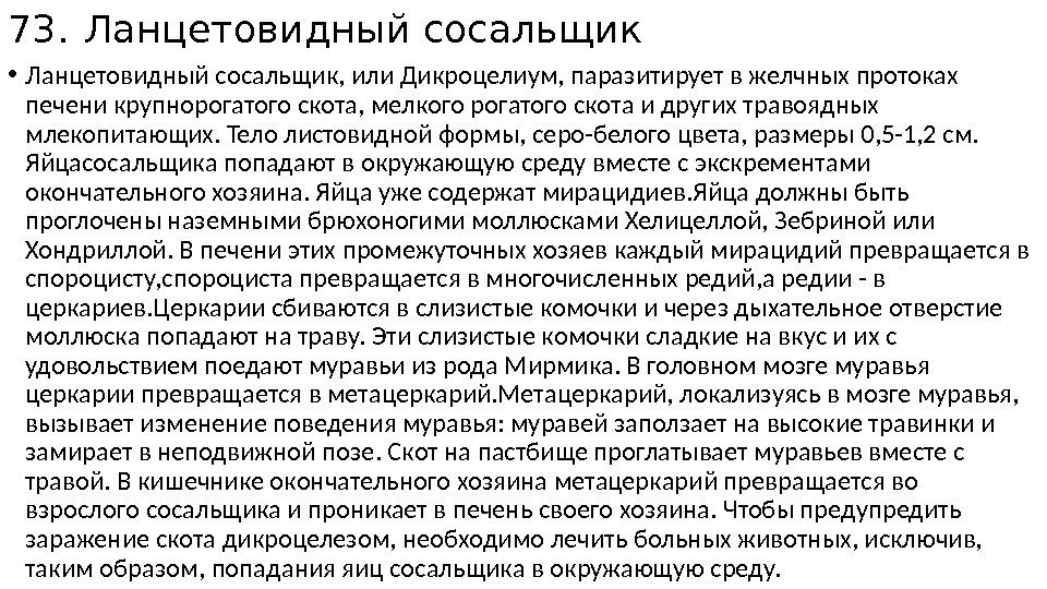 73. Ланцетовидный сосальщик • Ланцетовидный сосальщик, или Дикроцелиум, паразитирует в желчных протоках печени крупнорогатого