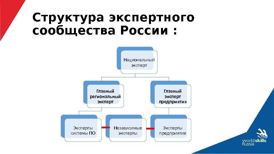 Структура экспертного сообщества России : Национальный эксперт Главный региональный эксперт Эксперты системы ПО Независимые