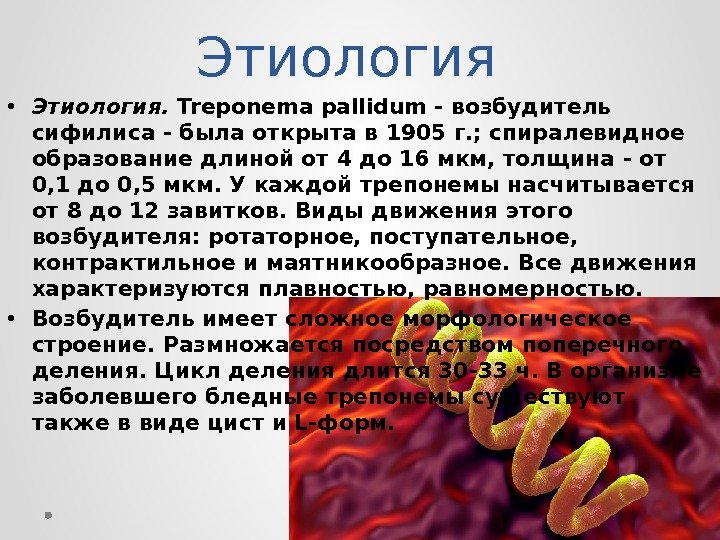 Бледная трепонема treponema pallidum. Трепонемы микробиология. Сифилис бактерии микробиология. Спирохета возбудитель сифилиса. Сифилис бледная трепонема.