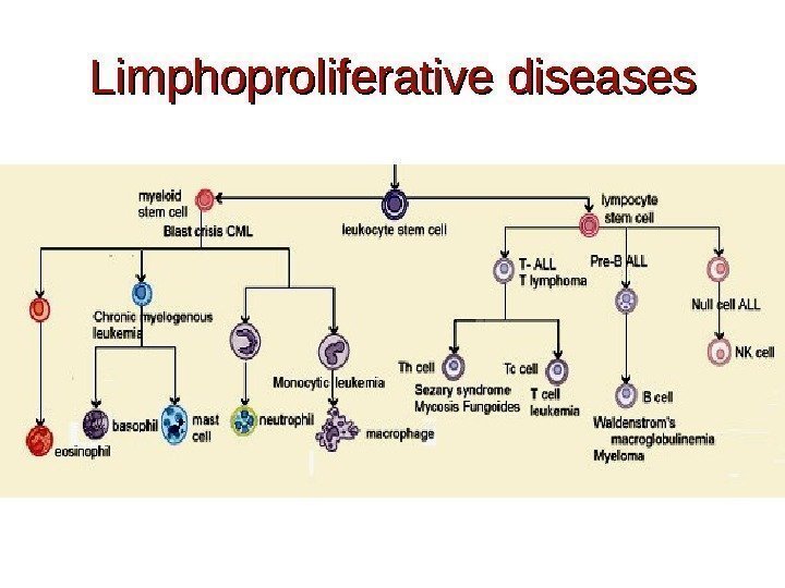 Limphoproliferative diseases 