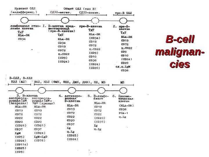 B-cell malignan- cies 