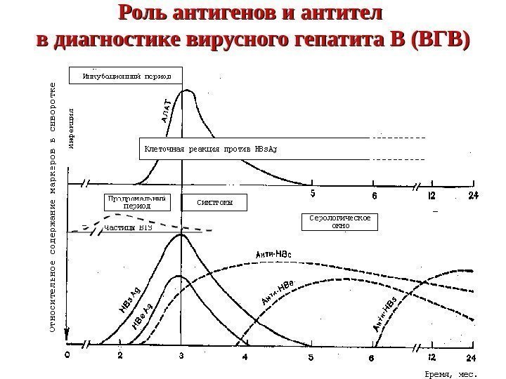 Роль антигенов и антител в диагностике вирусного гепатита В (ВГВ) 