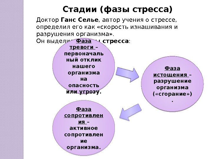 Схема механизмов регуляции информационного стресса