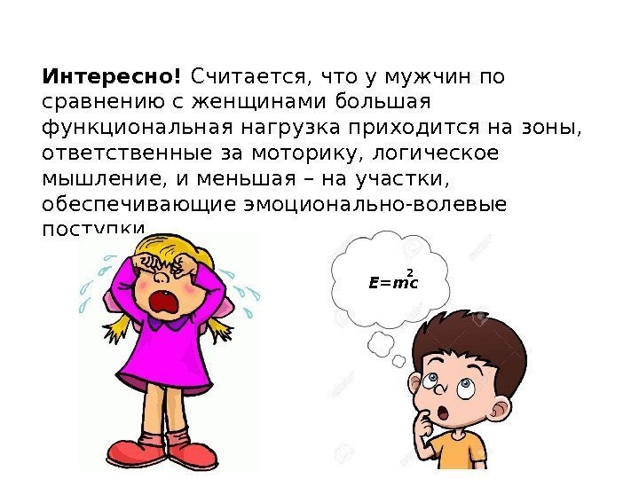 Интересно! Считается, что у мужчин по сравнению с женщинами большая функциональная нагрузка приходится на