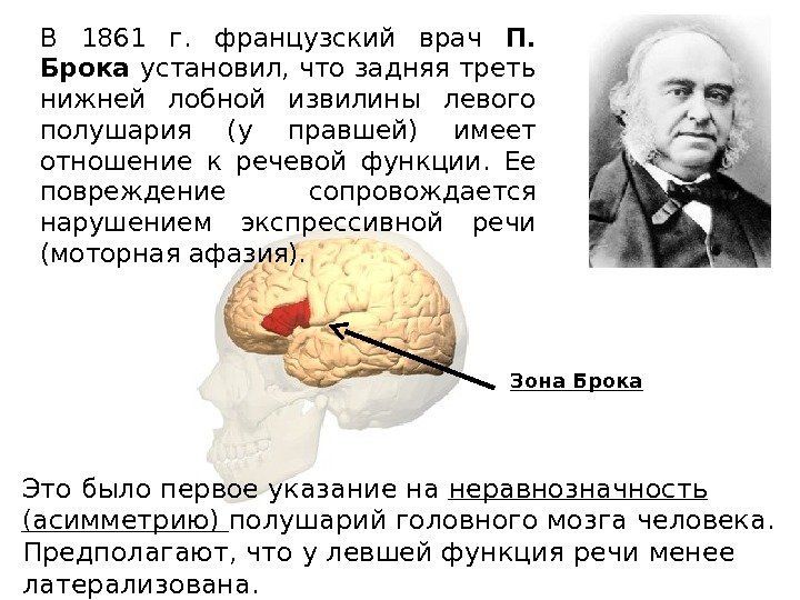 В 1861 г.  французский врач П.  Брока установил, что задняя треть нижней