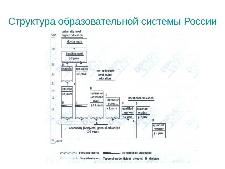 Структура образовательной системы России 