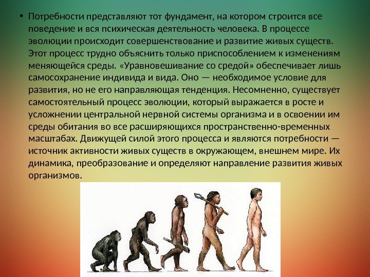 Эволюция потребностей человека. Потребности человека в разные периоды истории. Потребности древнего человека.