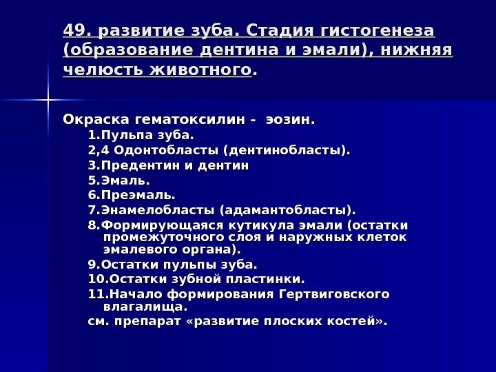 49. развитие зуба. Стадия гистогенеза (образование дентина и эмали), нижняя челюсть животного. . Окраска