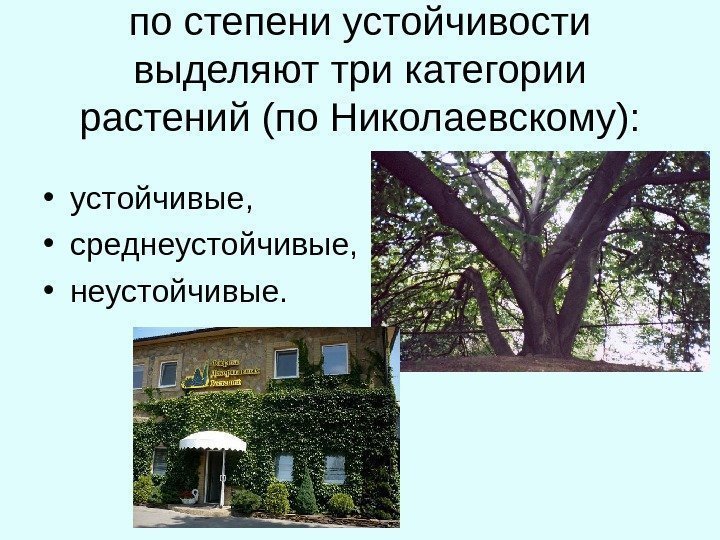   по степени устойчивости выделяют три категории растений (по Николаевскому): • устойчивые, 