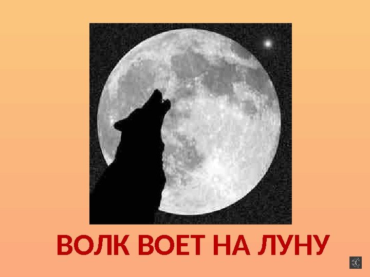 ВОЛК ВОЕТ НА ЛУНУ 