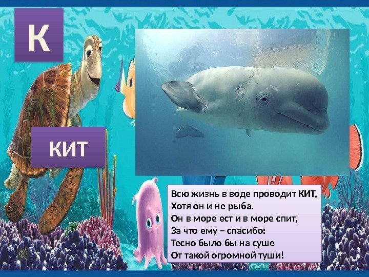 КИТ Всю жизнь в воде проводит КИТ, Хотя он и не рыба. Он в