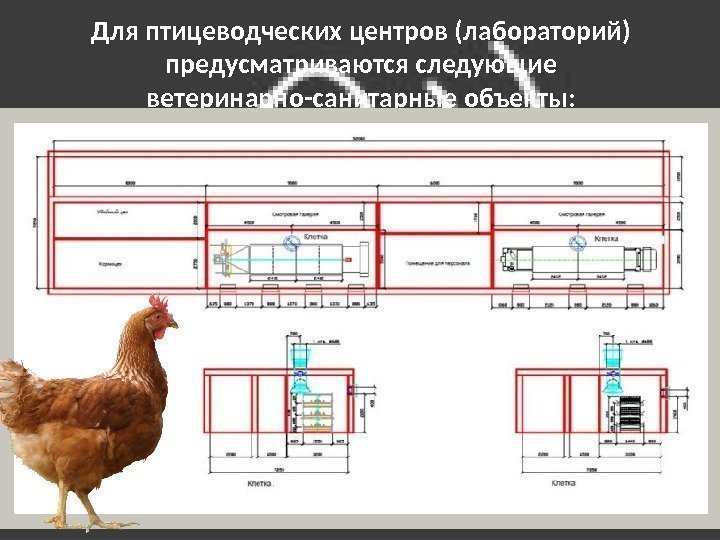 Для птицеводческих центров (лабораторий) предусматриваются следующие ветеринарно-санитарные объекты:  