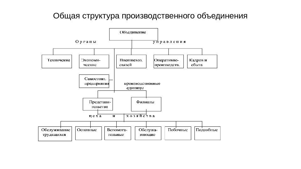 Общая структура производственного объединения 