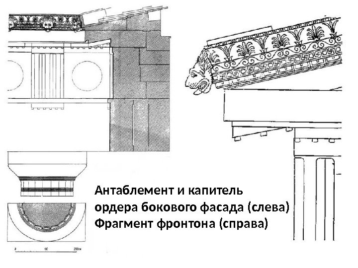 Антаблемент и капитель ордера бокового фасада (слева) Фрагмент фронтона (справа) 