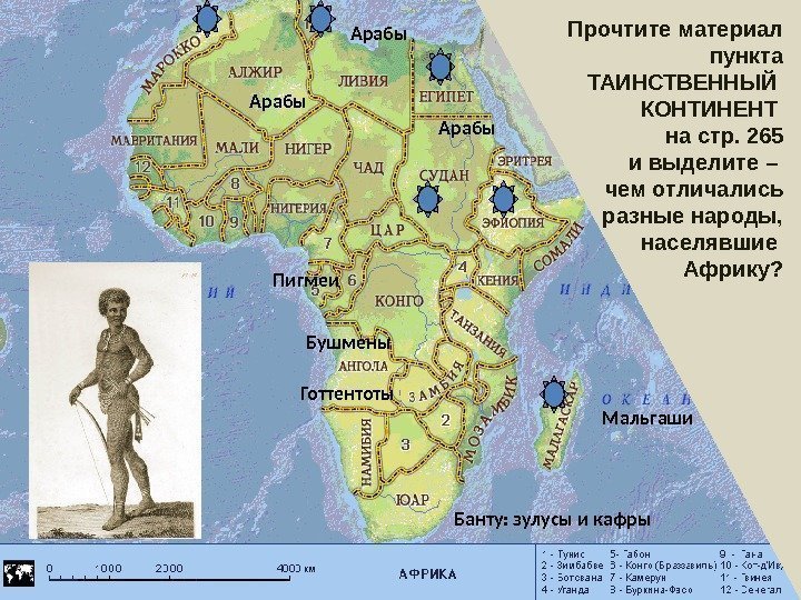 АФРИКА: континент в эпоху перемен Арабы Банту: зулусы и кафры. Готтентоты Мальгаши Бушмены Пигмеи
