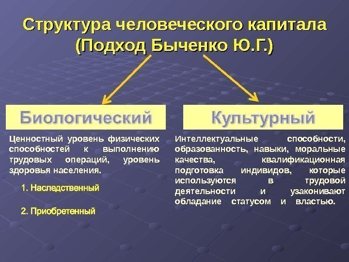 Структура человеческого капитала (Подход Быченко Ю. Г. ) Ценностный уровень физических способностей к выполнению