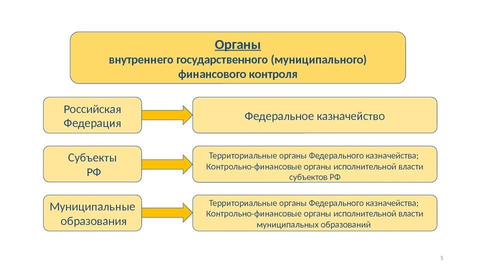 Органы внутреннего государственного (муниципального) финансового контроля Российская Федерация Субъекты  РФ Муниципальные  образования