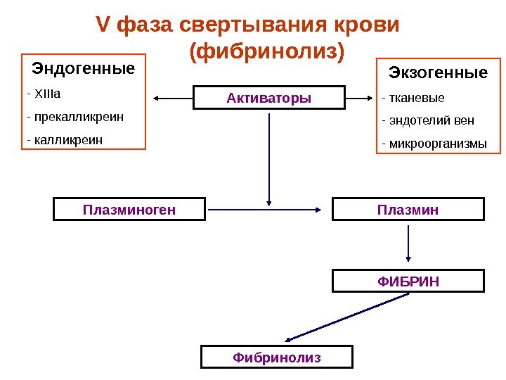   V фаза свертывания крови  (фибринолиз) Активаторы Плазминоген Плазмин ФИБРИН Фибринолиз Экзогенные