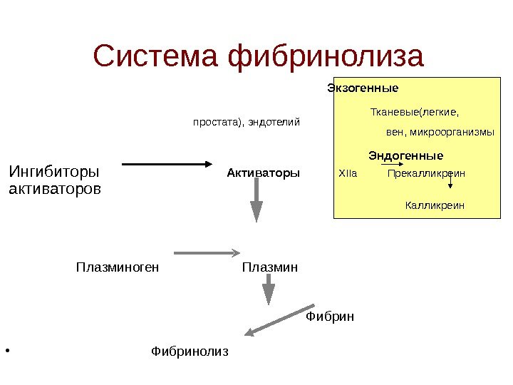   Система фибринолиза        Экзогенные  