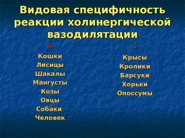   Видовая специфичность реакции холинергической вазодилятации ++ Кошки Лисицы Шакалы Мангусты Козы Овцы